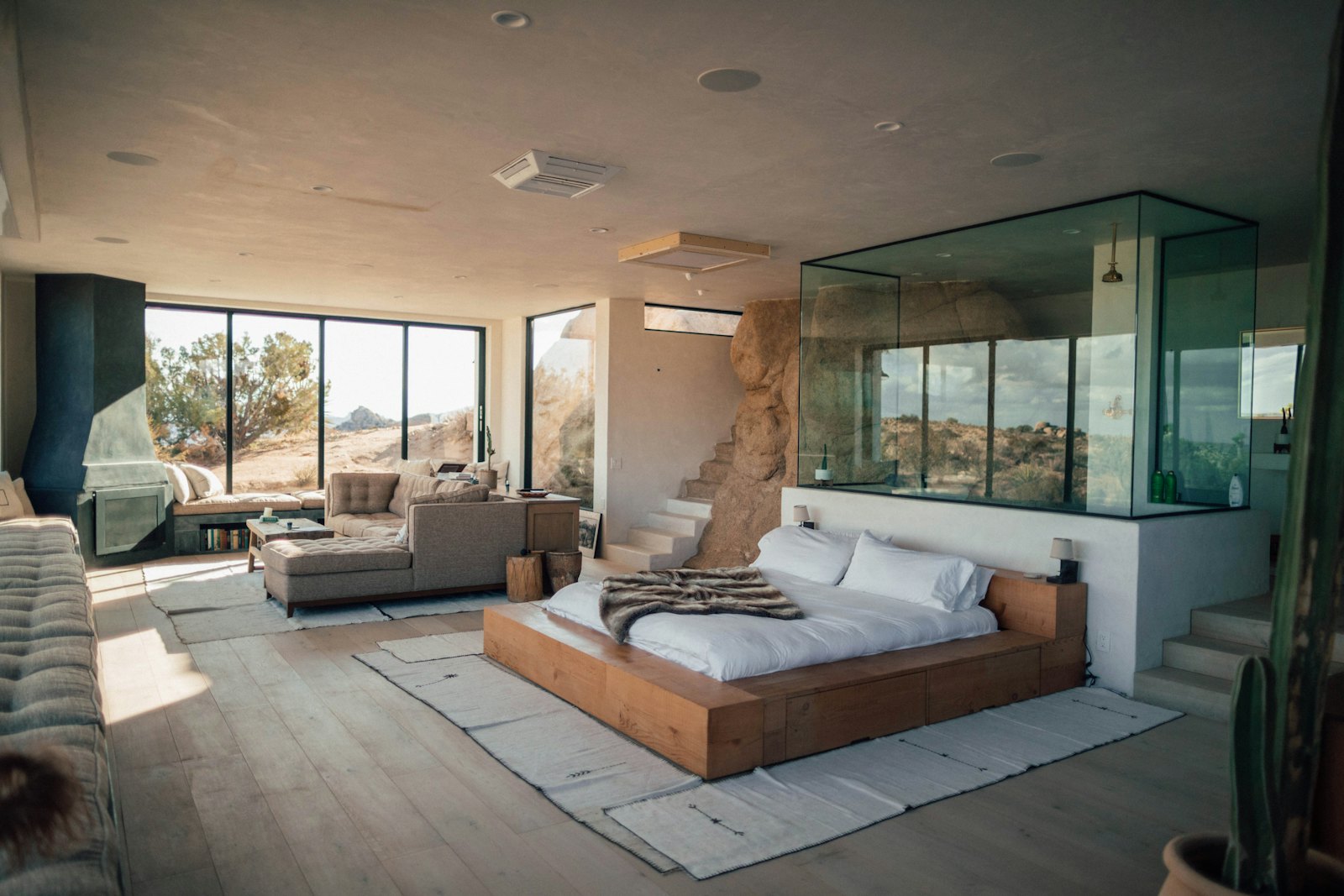 Premium Suite